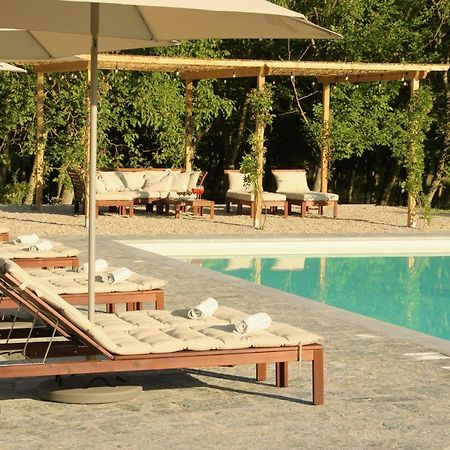 Villa La Mura - Luxury Pool By The Vineyard Costigliole d'Asti Exteriör bild