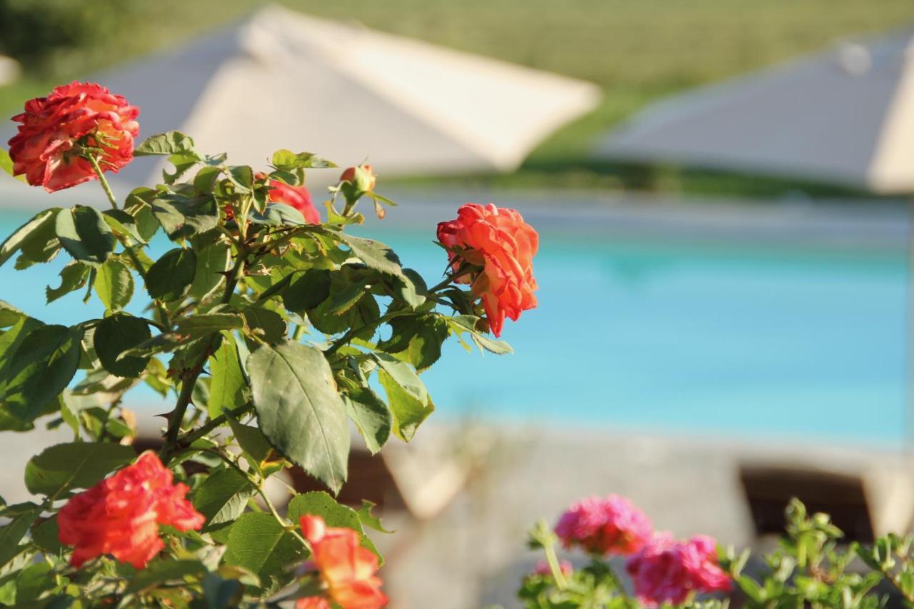 Villa La Mura - Luxury Pool By The Vineyard Costigliole d'Asti Exteriör bild